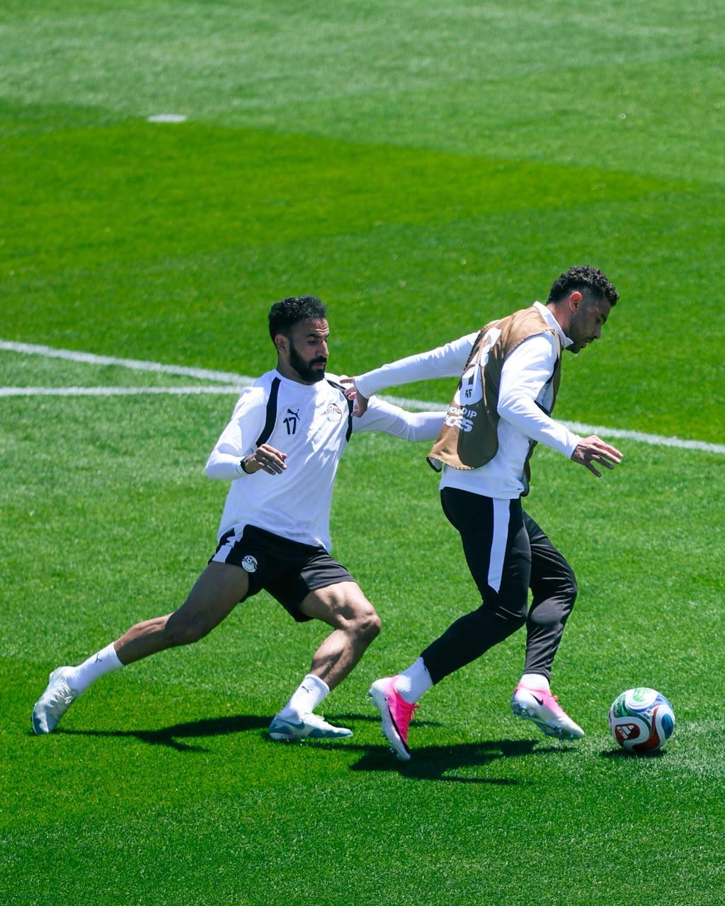 بالصور.. منتخب مصر يواصل استعداداته لمواجهة بلجيكا