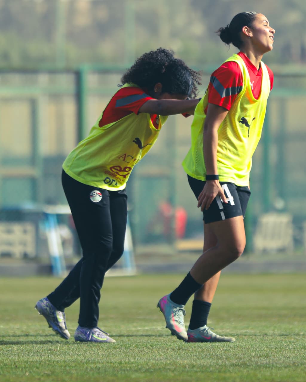 منتخب مصر للكرة النسائية يبدأ تحضيراته لكأس أفريقيا
