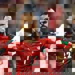 محمد مجدي (قفشة)